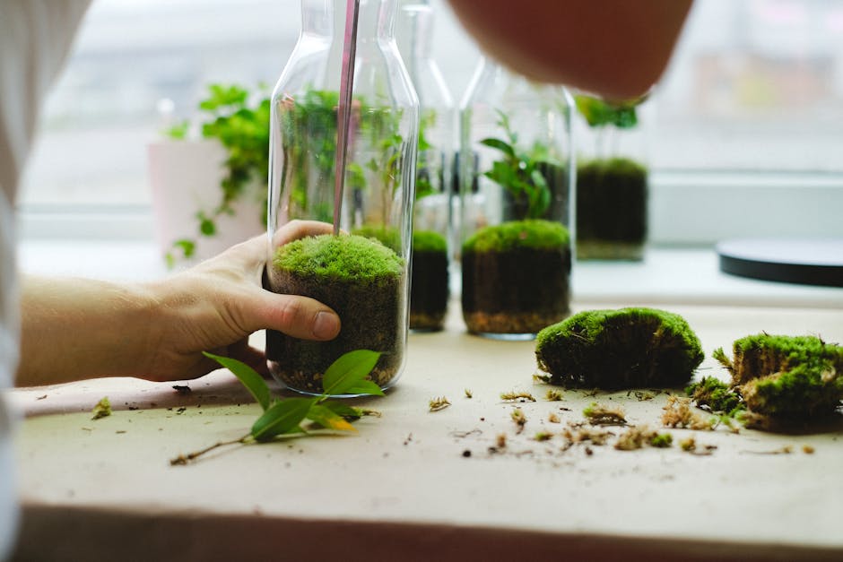 Hands crafting mini moss terrariums in glass bottles with lush greenery.