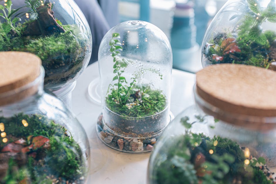 苔テラリウムの作り方と費用——初回45分で迷子にならない